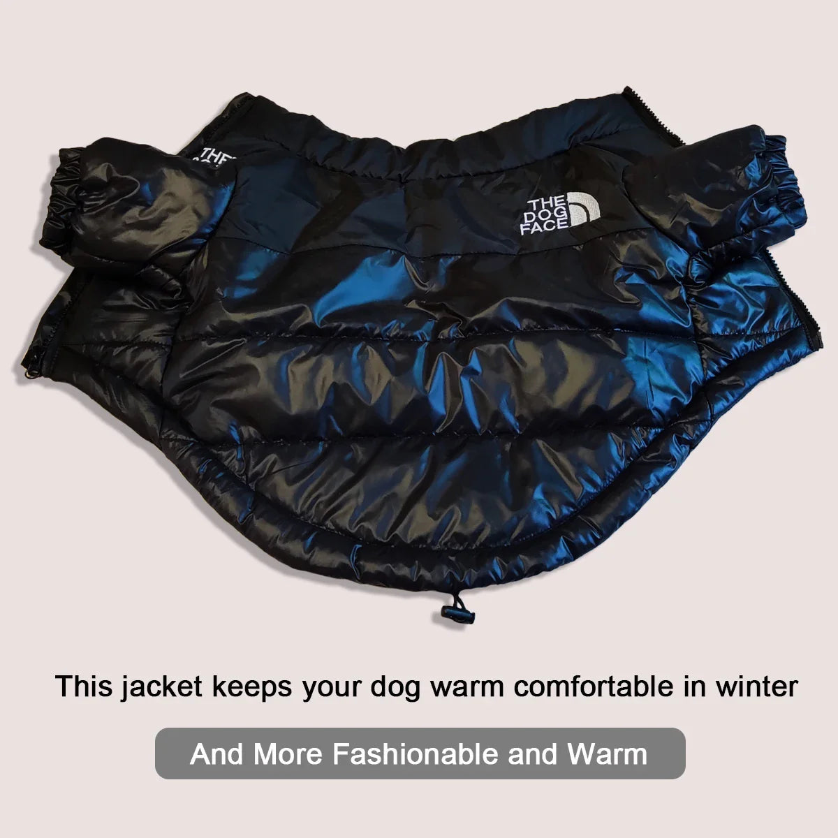 Dog Face Bump Jacket