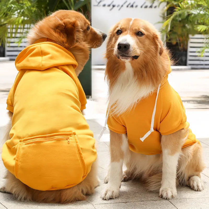 Cool Canine