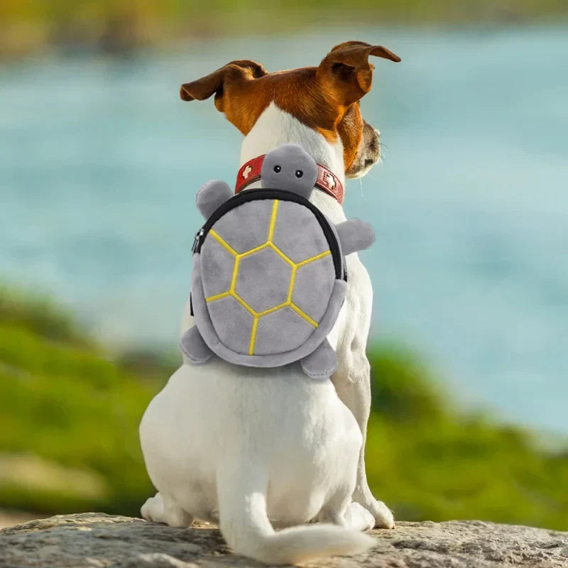 Explorer