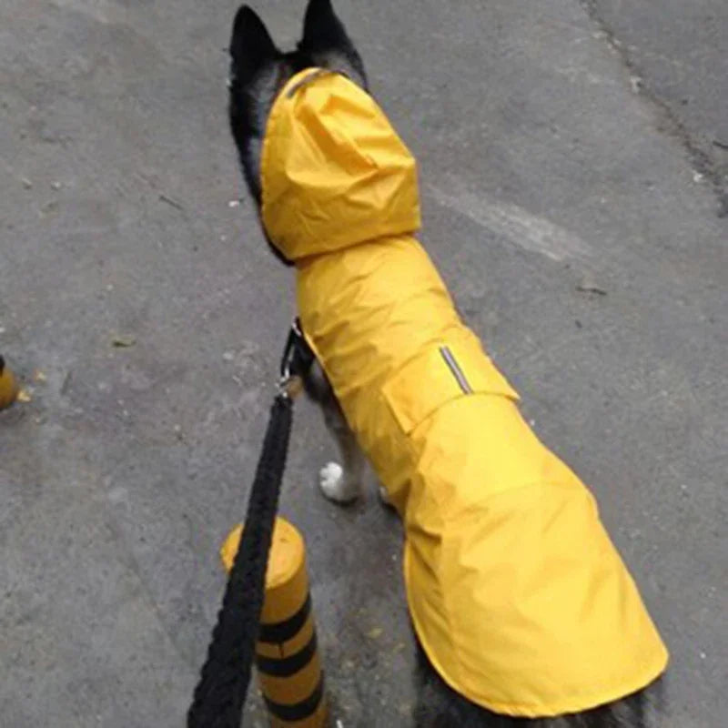 Dry Shield