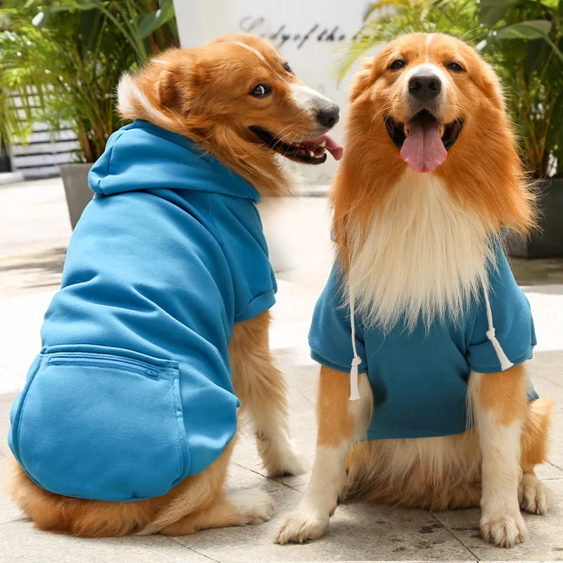 Cool Canine