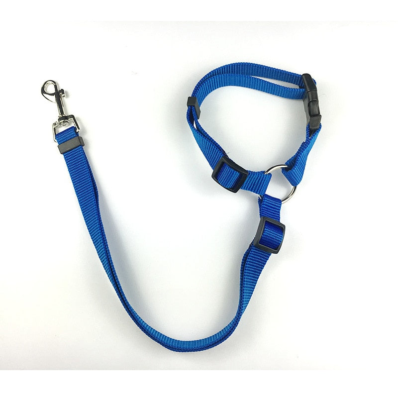 Car Seat Belt
