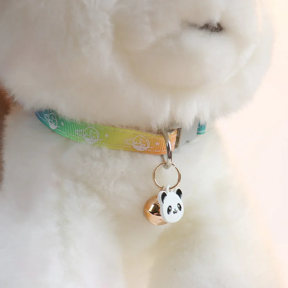 Charm