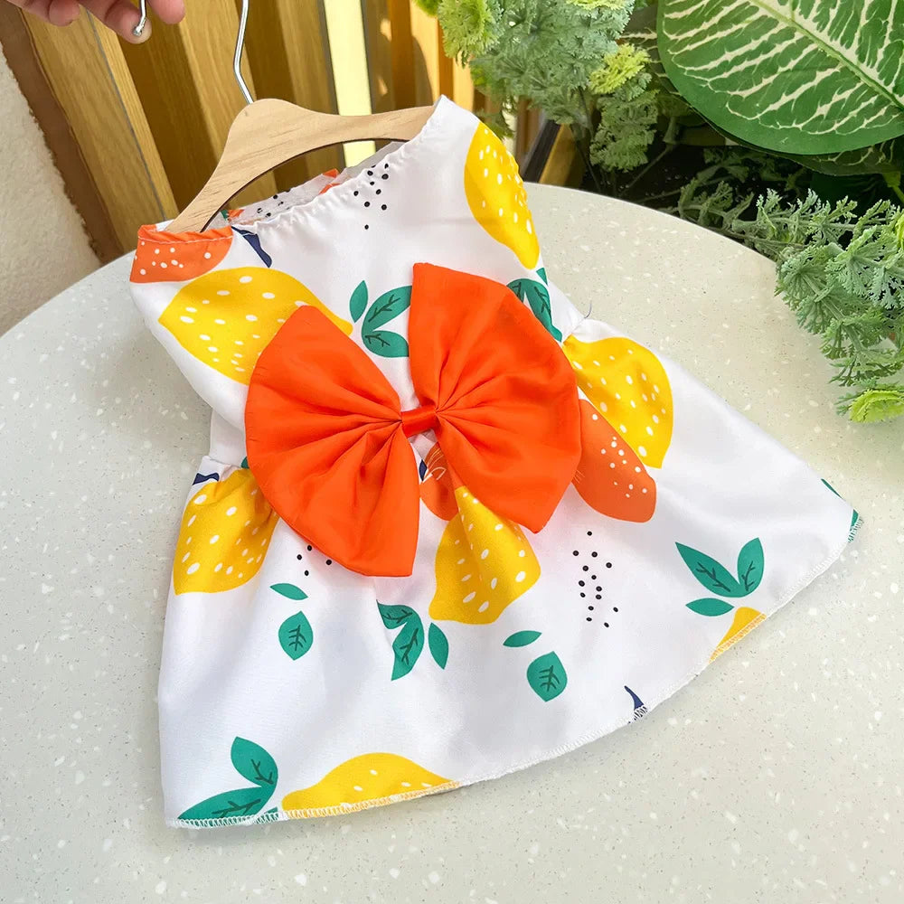 Princess Dress