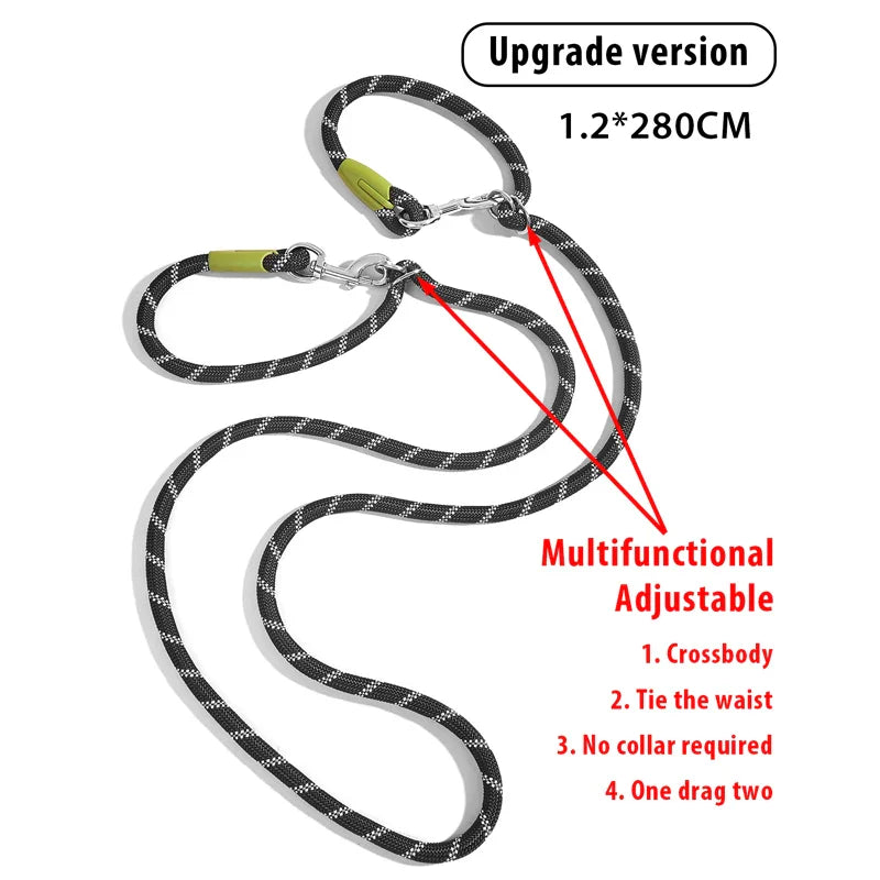 Shine & Stride Leashes