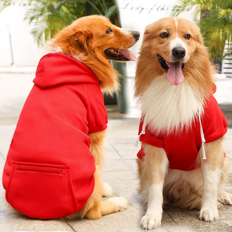 Cool Canine