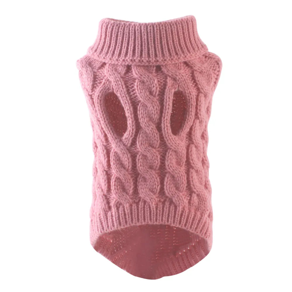 Purrfectly Petite in a Sweater