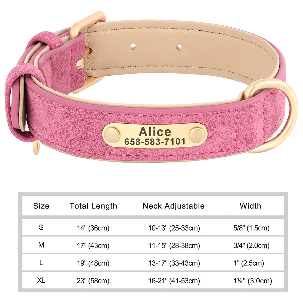 Talk of the Town Tag Collar