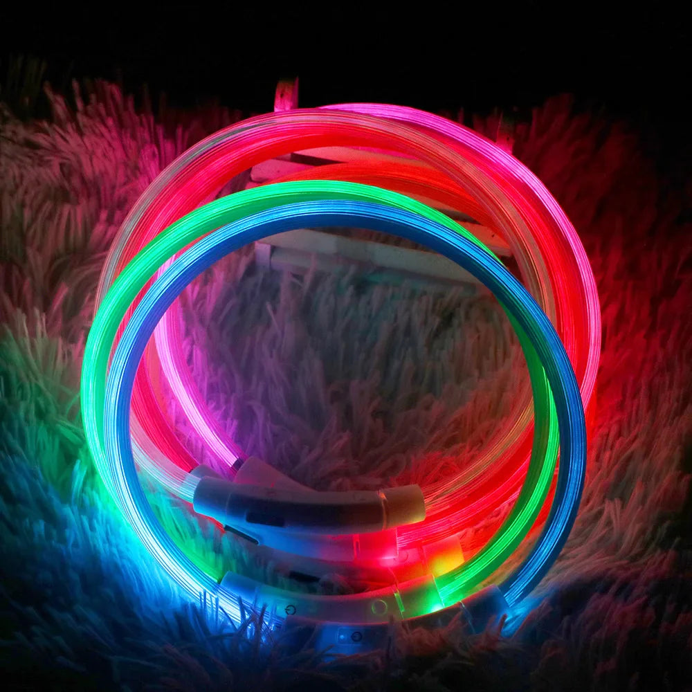 Luminous Dog Collar