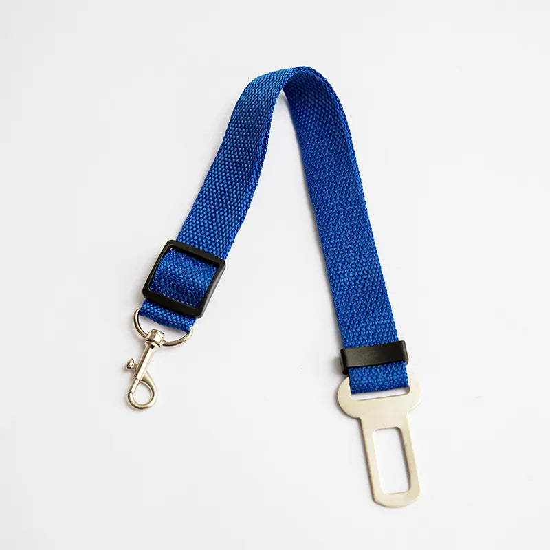 Dunk Belt