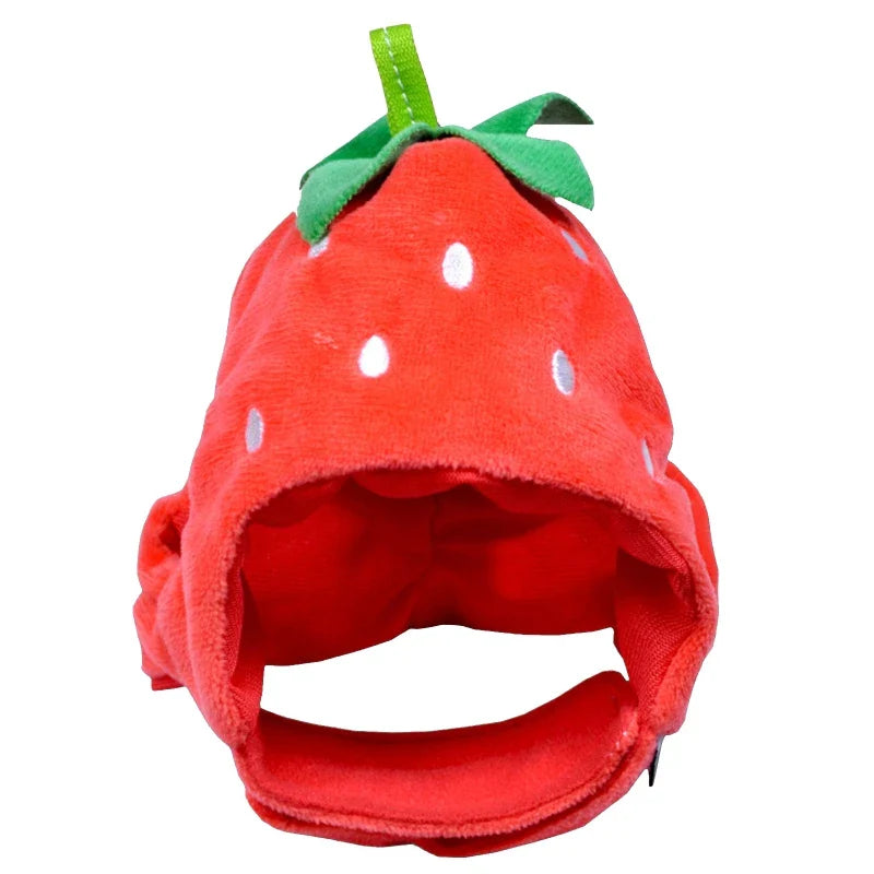 Tutti Frutti Fashion