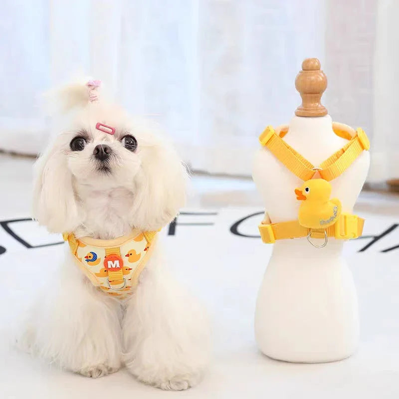 QuackWalk