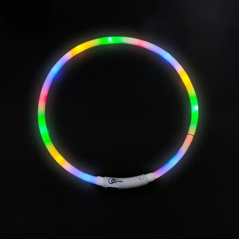 Luminous Dog Collar