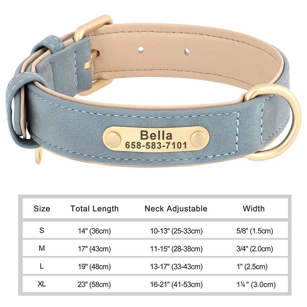 Talk of the Town Tag Collar