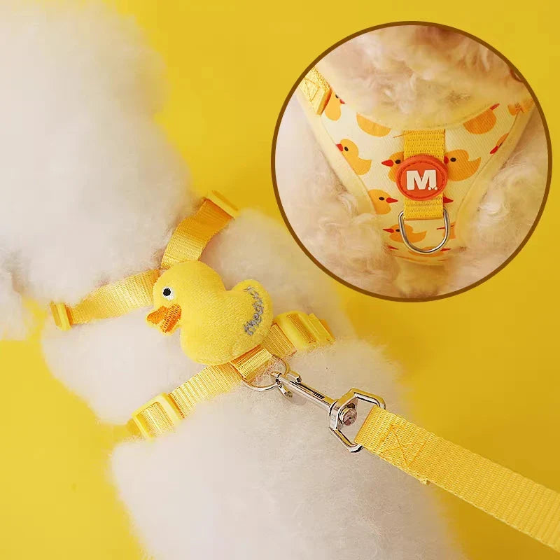 QuackWalk