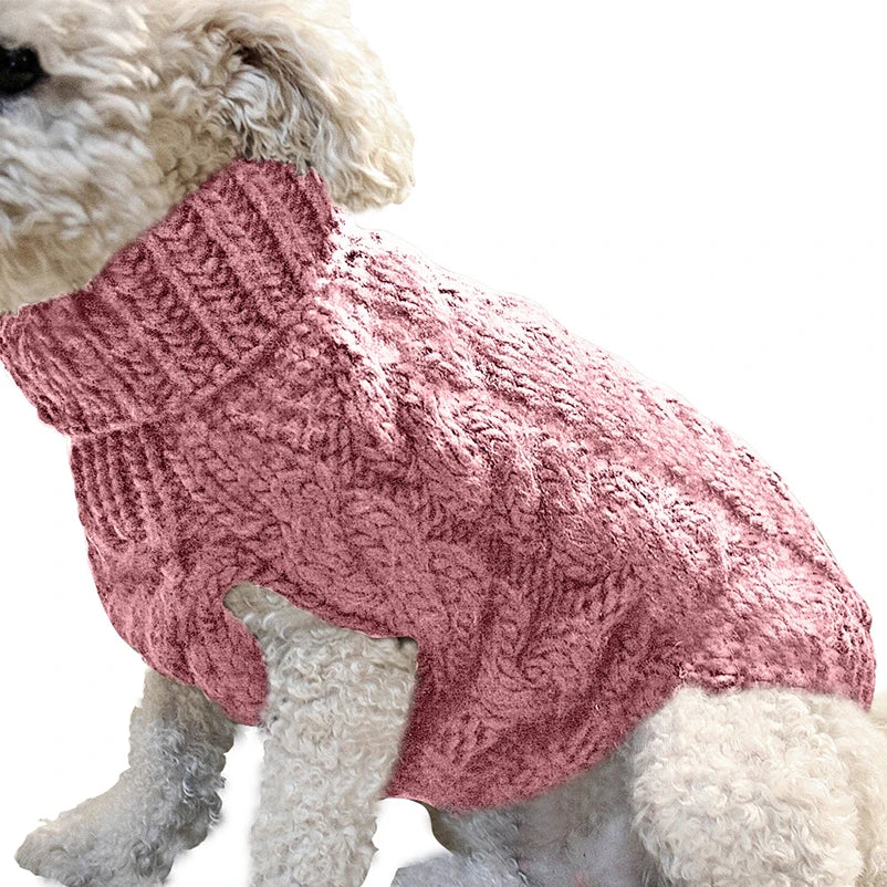 Purrfectly Petite in a Sweater