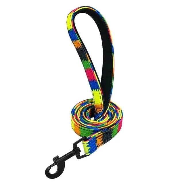Clifford Leash