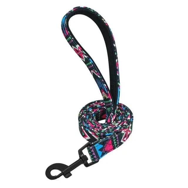 Clifford Leash