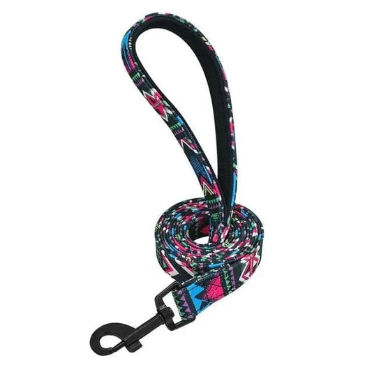 Clifford Leash