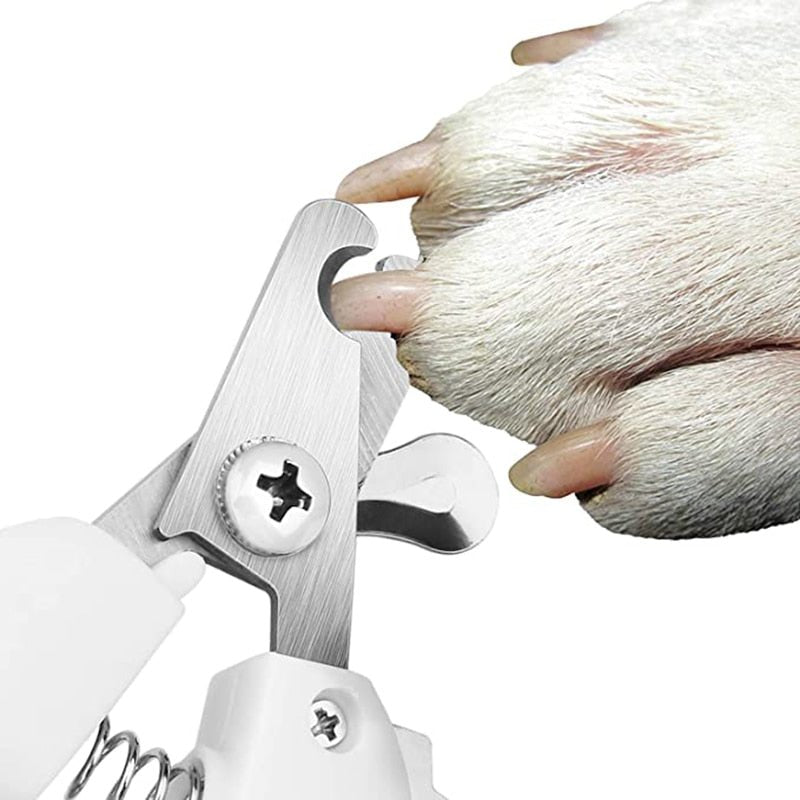 Doggies Fashion Clipper