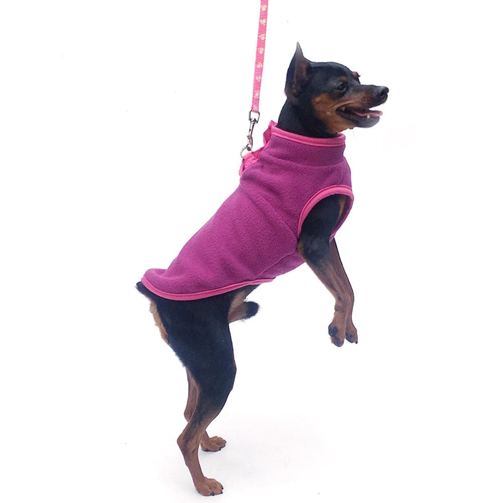 Doggy Stylez