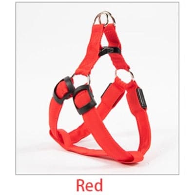 Odie Harness