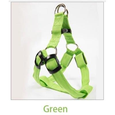 Odie Harness