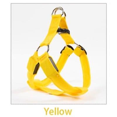 Odie Harness