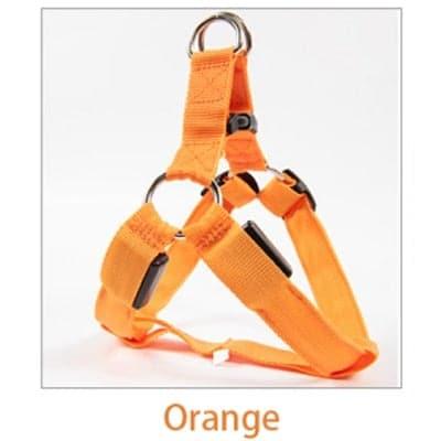 Odie Harness