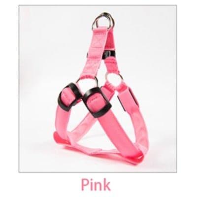 Odie Harness