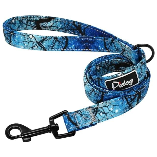 Clifford Leash