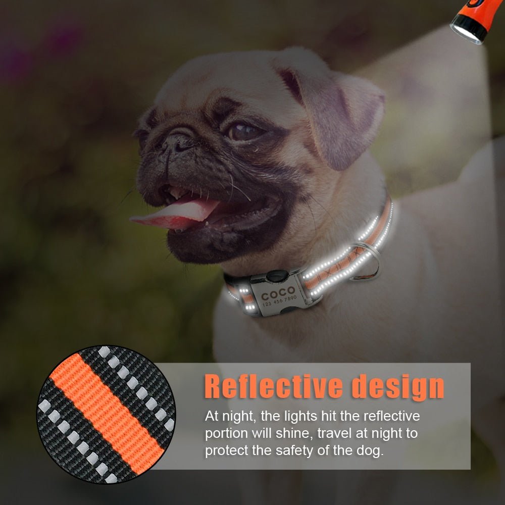 Wigglyville Collar