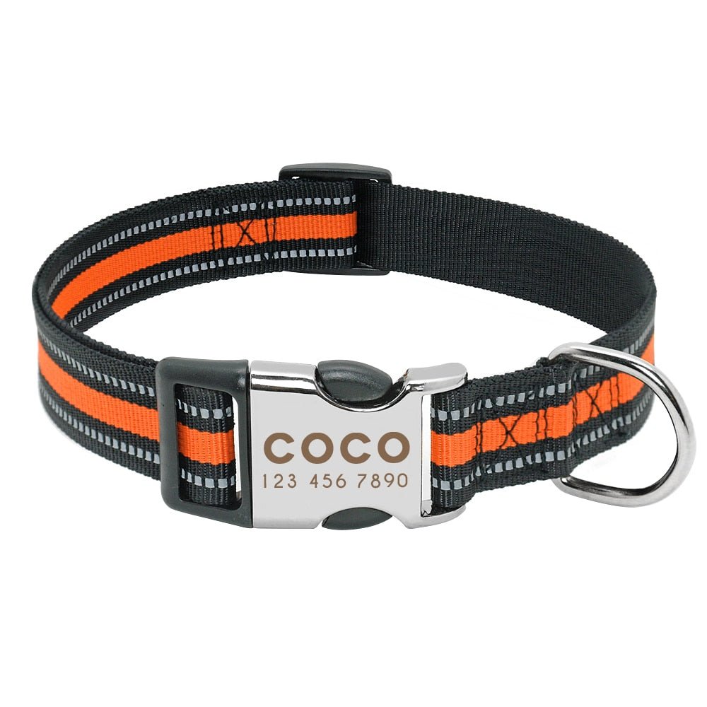 Wigglyville Collar