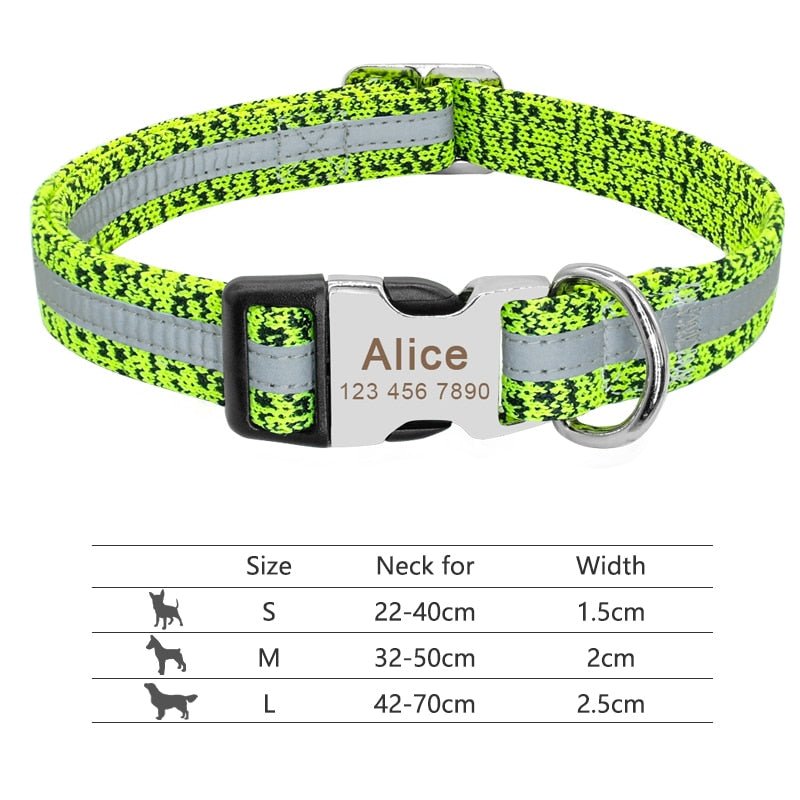 Wigglyville Collar