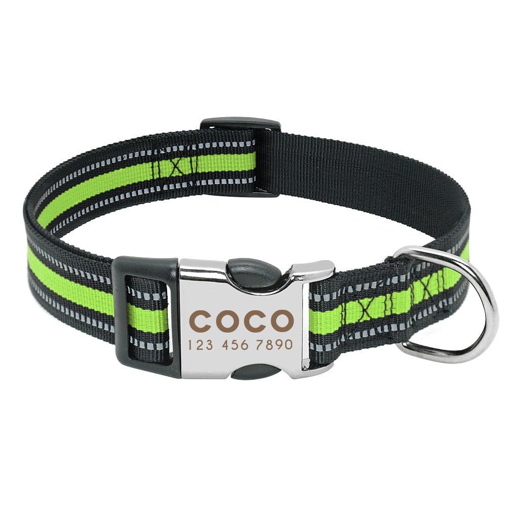 Wigglyville Collar