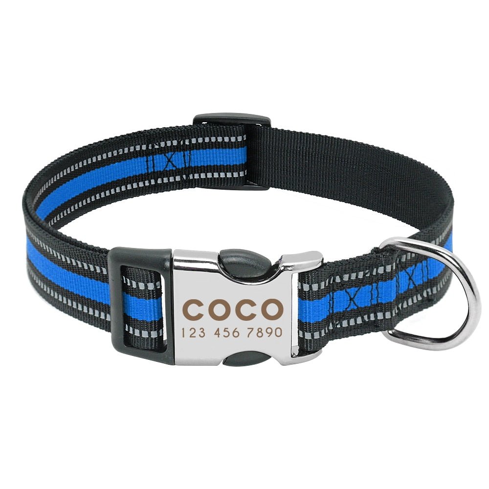 Wigglyville Collar